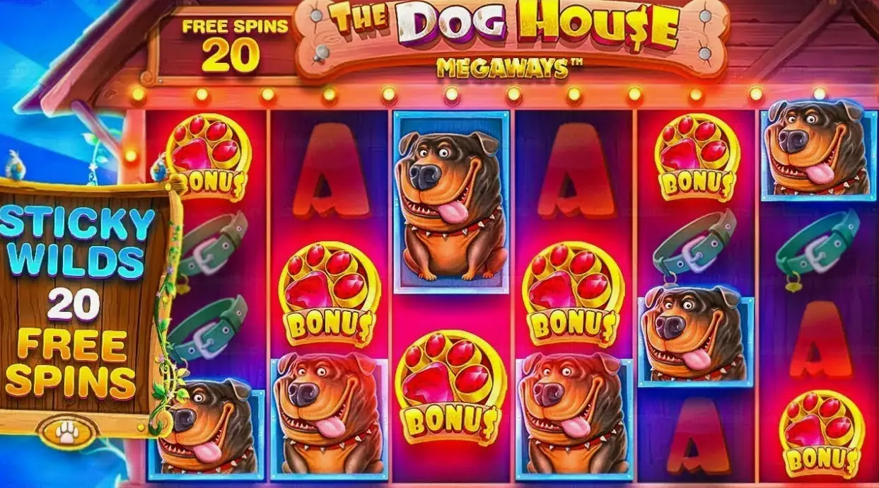 Советы по игре The Dog House Megaways